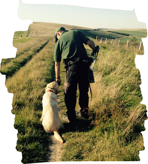 A photo of the dog walker working with a dog in worthing.