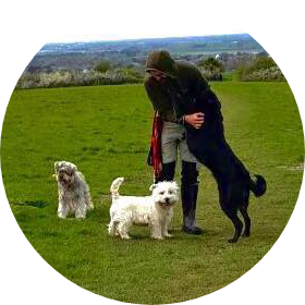 A picture of a the dog walker bonding with three dogs.